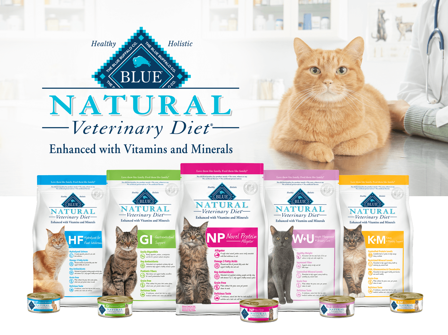 blue buffalo kidney cat food