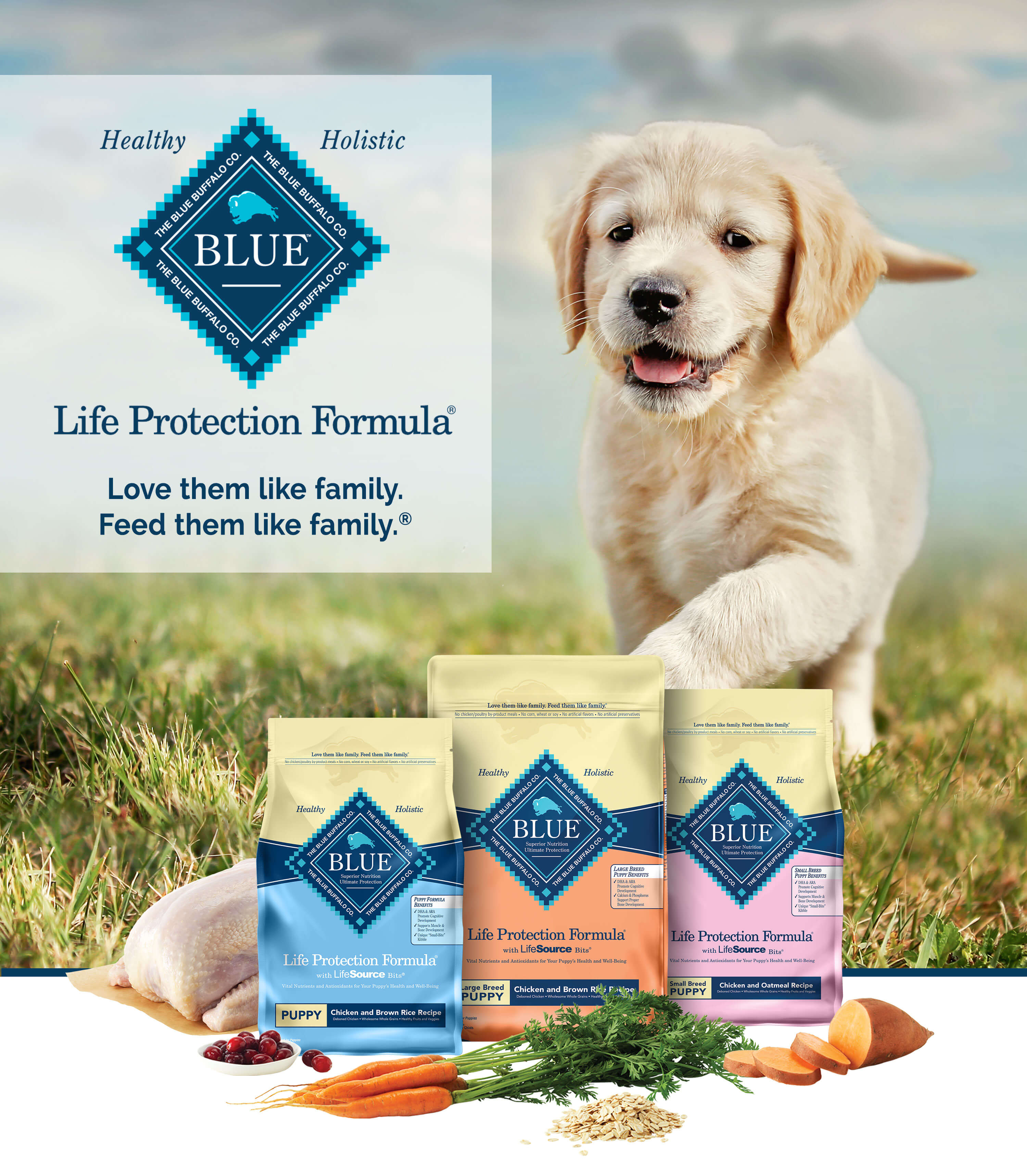 blue buffalo life protection puppy large breed