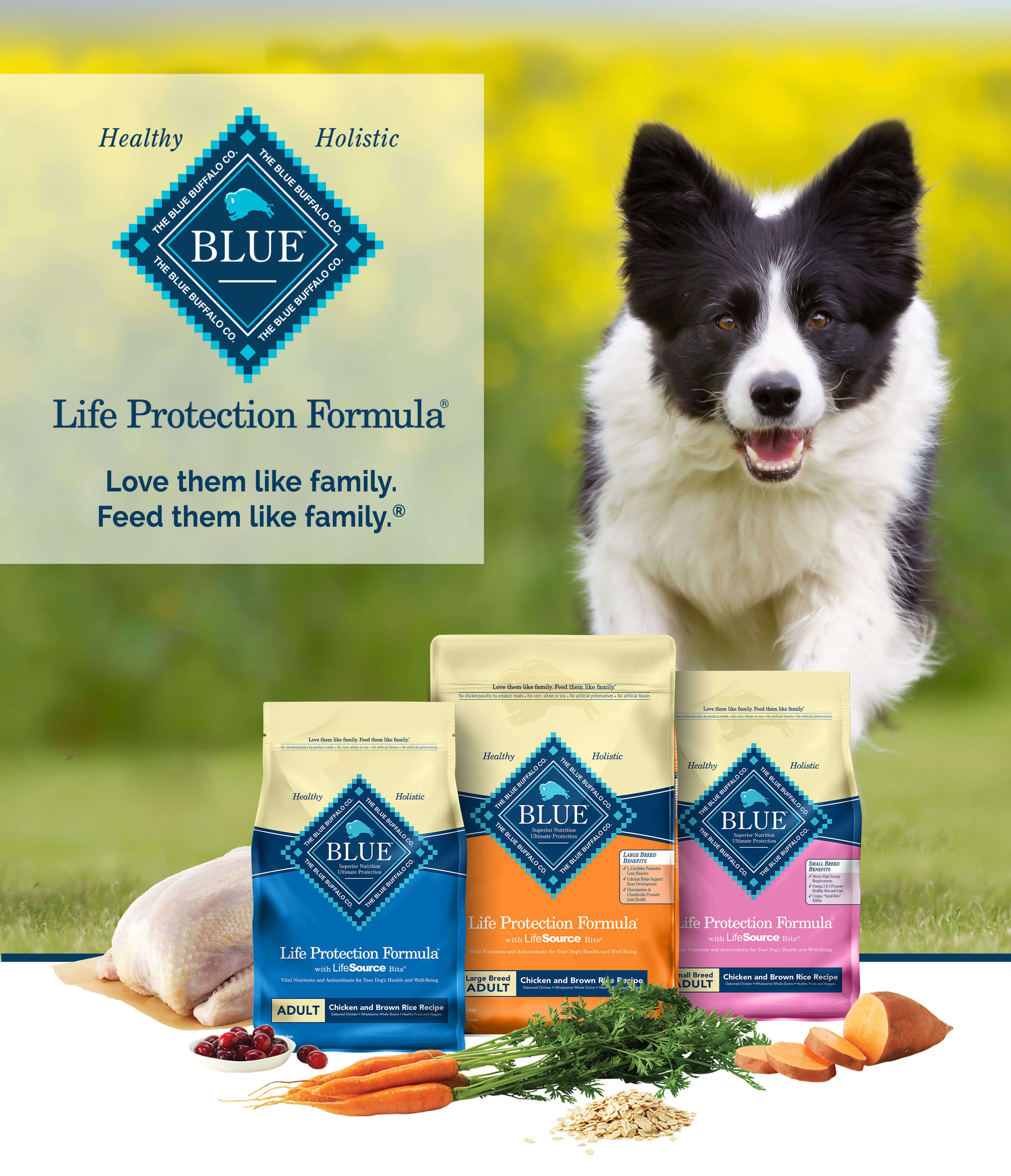 blue buffalo small bites 30 lb