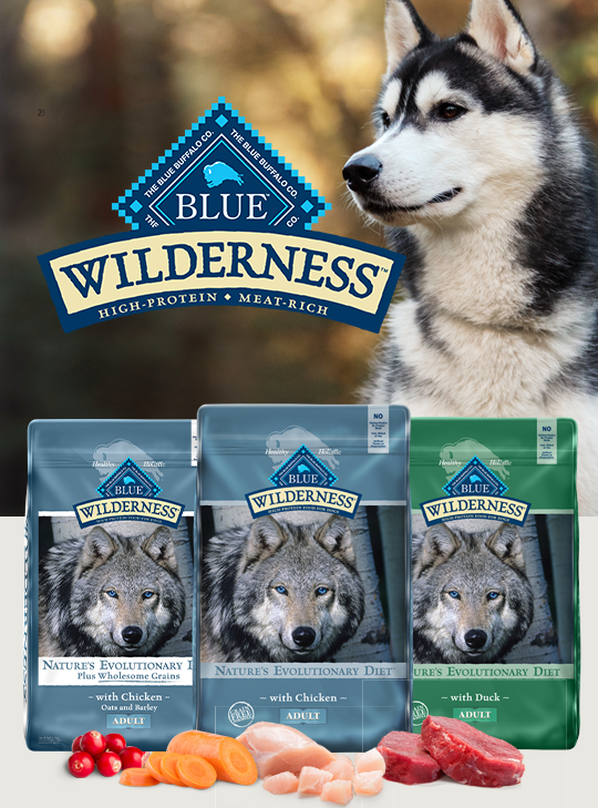 blue wilderness dog food senior