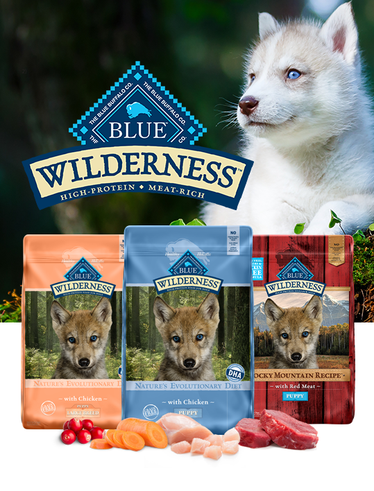 blue wilderness nature's evolutionary diet puppy