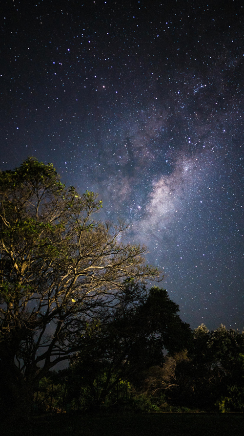 gallery image 1 of 36