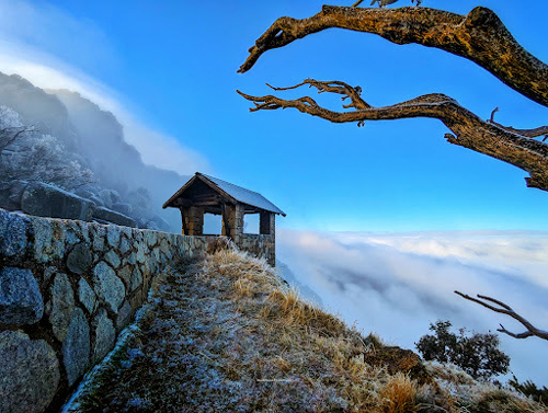 gallery image 2 of 36