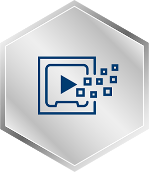 10thGen Icons QSV